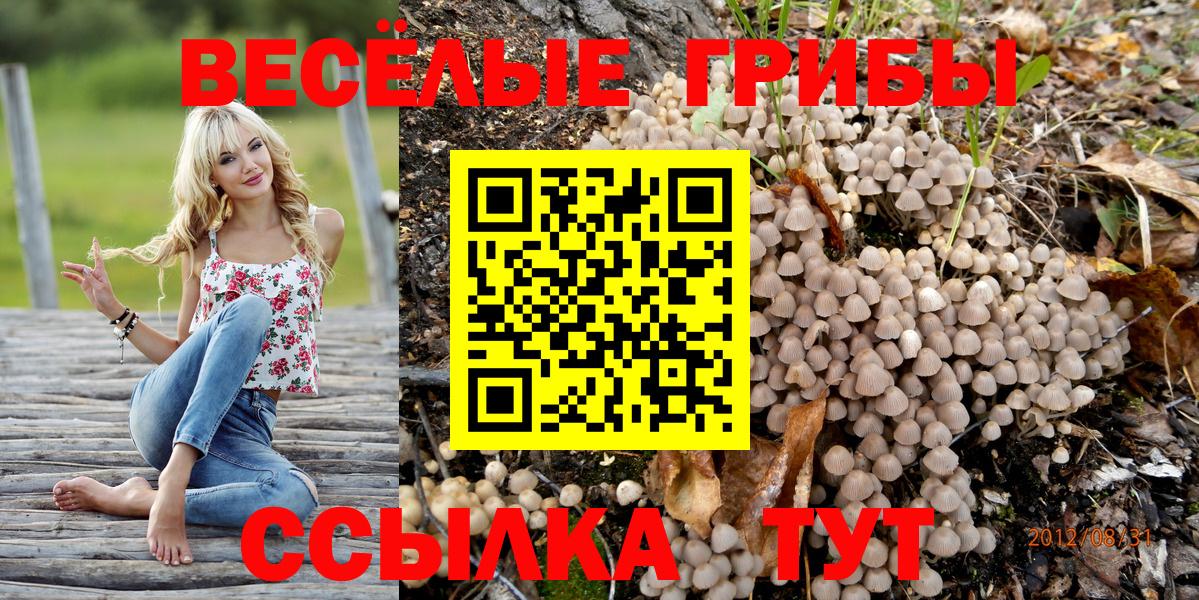 Сухой Лог  где купить   Вход с VPN  Псилоцибиновые грибы мухоморы 